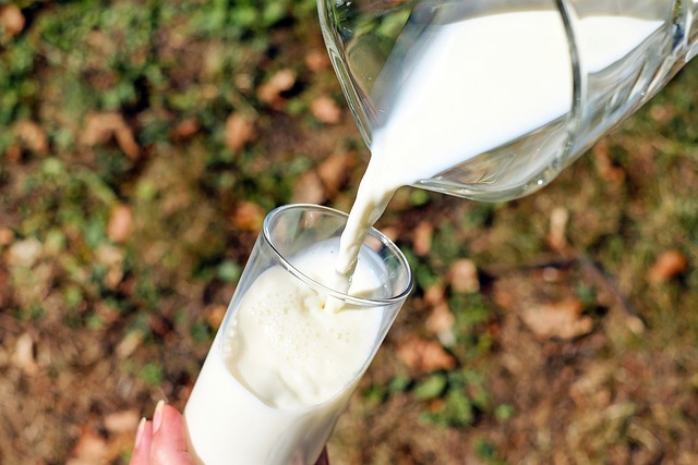milk calcium rich and protein