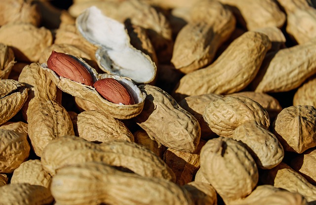 peanut protein rich