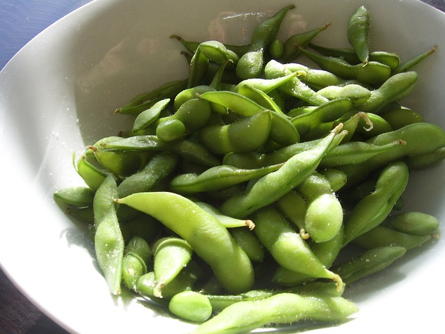 soya bean high in protein