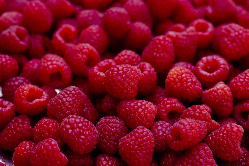 anticancer foods to eat daily