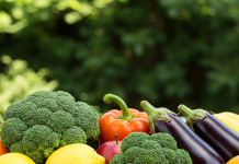 essential-nutrients-needed-daily